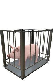 весы свиньи решетка